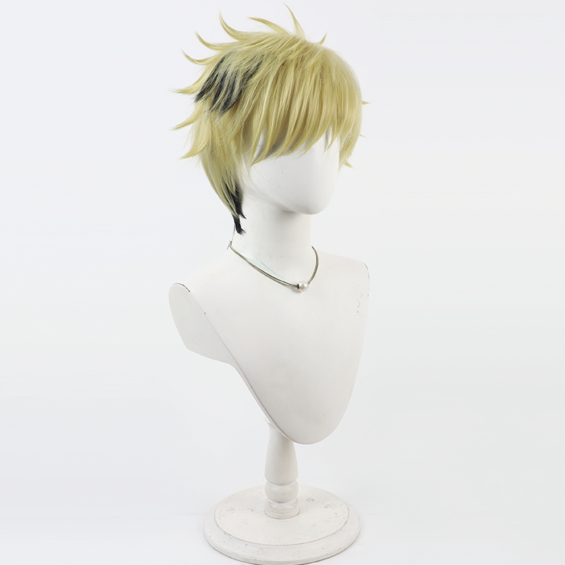 Vantacrow Bringer Cosplay perr - Synthetic Wigs avis et prix